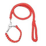 犬 リード 首輪 セット 犬用 大型犬 中型犬 編込み おしゃれ 極太 太め 8本ロープリード チョーカーハーフ チョーク しつけ (レッド, XL)