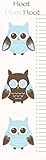 ライトブルーフクロウGrowth Chart