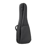 basiner ベイシナー ギターケース BRISQ Series エレキギター用 ギグバッグ (ギグケース) BRISQ-EG Charcoal Grey 【国内正規品】