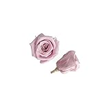 florever　フロールエバー　フレッシュルックベイビーローズ　ラベンダーピンク　12輪　Φ2.5～3.5cm　 プリザーブドフラワー　Baby Rose　Lavender Pink