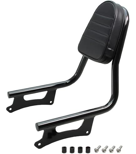Amazon | デイトナ(Daytona) レブル1100/DCT/T(21-23)専用 バック