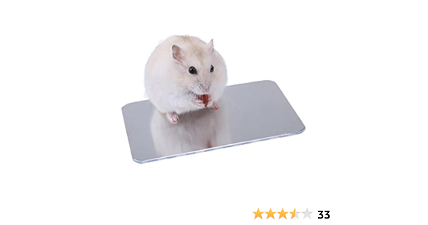 Amazon Keepjoy 涼感 ハムスター ひんやりプレート アルミクールマット ひゃっこい 夏対策 小動物夏用品 熱中症防止保冷 涼しい 床面高い ケージアクセサリー ゴルデン L1 W80mm Keepjoy 飼育ケージ内装 通販