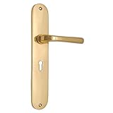 Adonai Hardware Ahaziah Brass Door Handle with Plate (Polish Lacquered)