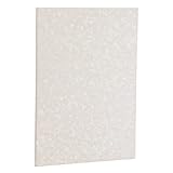 ナカバヤシ 証書・賞状ファイル A4判/二つ折りタイプ/ビニール 白 FSV-A4C-W