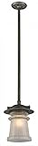 Troy Lighting Pearl Street 10.5"W 1-Light Outdoor Pendant - Charred Zinc Finish with Clear Outer and