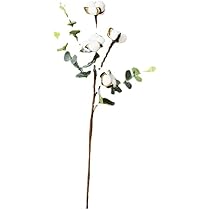 綿花 コットンフラワー コットンフラワー（綿花） - マルシェ青空