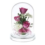 レンデフロール（Reine De Fleur） ハンドメイドドライフラワー バラ・千鳥草・かすみ草 R-L