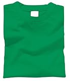アーテック カラーTシャツ(ヘビーウェイト) C 38963 グリーン