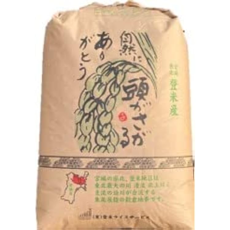 令和6年度産　山形県産はえぬき30kg　玄米 07-05-035 はえぬき玄米30kg[令和7年産] - 山形県天童市｜ふるさと