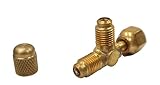 BBK A31864 アクセスバルブ (ティ) メスフレアスイブル