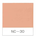 地球温暖化対策壁用塗料 ナノコンポジットW　NC-30　15Kg