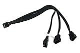 Phobya Y-Kabel 4Pin PWM auf 3x 4Pin PWM 30cm - Schwarz