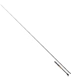 Amazon | ダイワ(DAIWA) 21 スティーズ C610H-SV ベイトキャスティング