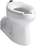 Kohler K-4352-0 Anglesey Comfort Height Bowl, White [並行輸入品]