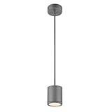 WAC Lighting PD-W2605-GH Tube Outdoor LED Pendant Fixture, One Size, White/Graphite [並行輸入品]