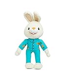 BUNNY OF THE YEAR - Baby First TV - Bedtime Harry the Bunny Soft Plush Toy - Baby Shower Gifts - Lov
