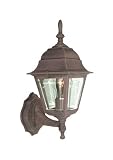 Woodbridge Lighting 60002-RTP Basic 1-Light Outdoor Wall Sconce, Powder Coat Rust [並行輸入品]