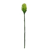 Select Artificials Artificial Ginger Flower Decorative Floral Crafting Stem 28 Light Green [並行輸入品]