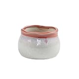 シンプルな多肉植物フラワーポットフローグレーズポットクリエイティブセラミックフラワーポット_A23