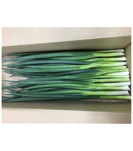Amazon.co.jp: 【鳥取県産】 白ネギ 1束 送料別 : 食品・飲料・お酒