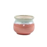 シンプルな多肉植物フラワーポットフローグレーズポットクリエイティブセラミックフラワーポット_A20