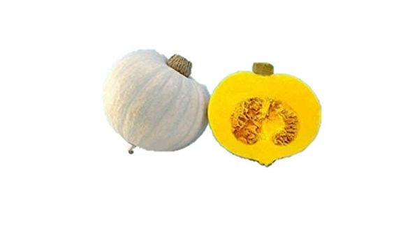 Amazon 珍しい幻の白い キャンディ南瓜 種 2粒 野菜