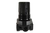 Coilhose Pneumatics MR2 Miniature Series Regulator, 1/4-Inch Pipe Size by Coilhose Pneumatics