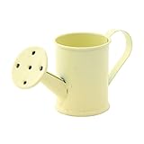 不二貿易 ブリキ小物入れ ジョウロ型 アイボリー 13440