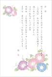 [メイドインたんたん] お礼状はがき 10枚 お中元 お歳暮 贈り物 お礼はがき (あさがお_018_官製10枚)