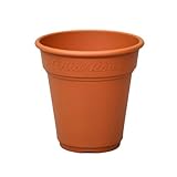 アップルウェアー ロゼアポット 180型 ブラウン