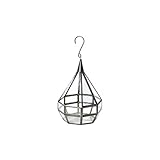 ティアドロップ テラリウム Sサイズ Tear Drop Terrarium “S”