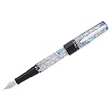 BENU Euphoria 万年筆 (岩の上のウォッカ、中字ペン先)