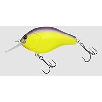 Amazon.co.jp: ノリーズ マルノミフラット60 トラッドパープル