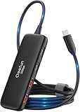 Qeefun USB C ハブ 10Gbps 5ポート 100W PD充電対応 USB3.2 Gen2 ハブ 120cmケーブル 2 USB-A + 2 USB-C 高速データ転送 外付けHDD/SSD MacBook Pro iMac Chromebook iPad Galaxy Surface XPS ノートPC対応 在宅勤務 ゲームに最適 ドッキングステーション