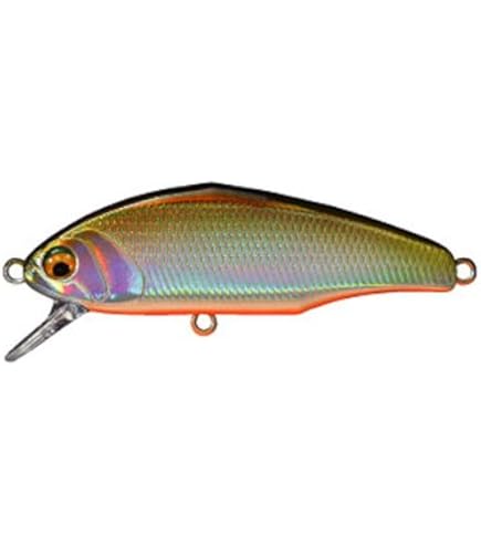 スミス(SMITH LTD) ミノー 計12個 Amazon.co.jp: スミス(SMITH LTD) ミノー D-インサイト 4g 44mm