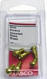 Larsen Supply xs-601 6-count Assorted真鍮Bibbねじ XS-601