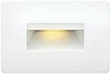 Hink Lighting - 15508SW [並行輸入品]