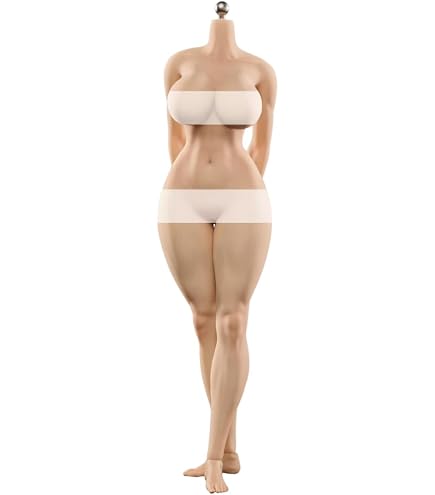 Amazon | [Tbmodel ] VERYCOOL 1/6フィギュア Mサイズバスト 素体 超
