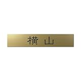 丸三タカギ 彫り込み済表札 アクリル APB2-G-1-1-横山 【完成品】