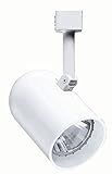 Juno Lighting R500WH 1-Light Round Back Cylinder Trac-Master Head, White Finish [並行輸入品]