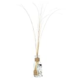 ノルコーポレーション ルームフレグランス リードディフューザー シェアウィズ OA-SHW-1-5 フランジパニの香り 30ml