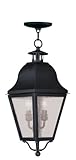 Livex Lighting 2546-04 Amwell 2-Light Outdoor Chain Hang, Black by Livex Lighting
