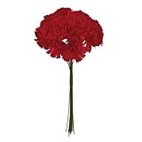 MAGIQ 東京堂 上質な 造花 ミニカーネピック (12本入り) RED FM009790-003