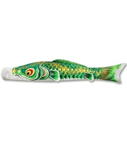 Amazon | 岡本太郎 レッスンバッグ 鯉のぼり こいのぼり こどもの日
