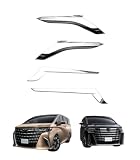 【EvaSylian 】 クローム メッキ ガーニッシュ ヴェルファイア30系 FOR ALPHARD/VELLFIRE 前期 後期 2015～2022年 対応 専用設計 ヘッド ライト アイライン + テールランプ カバー ベゼル ドレスアップ カスタムメッキ ガーニッシュ(セット) [並行輸入品]
