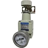 日本精器:日本精器 精密減圧弁6A2K BN-3RT1100-6-2K 型式:BN-3RT1100-6-2K