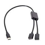 CY ケーブル Type-C OTG からデュアルポート USB-C メスハブケーブル、ラップトップ PC マウスフラッシュディスク用 (30cm, Type-C)