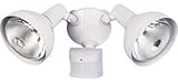 HEATHCO HZ-5105-WH White Motion Secur Light [並行輸入品]