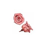 florever　フロールエバー　フレッシュルックベイビーローズ　ピンクオパール　12輪　Φ2.5～3.5cm　 プリザーブドフラワー　Baby Rose　Pink Opal