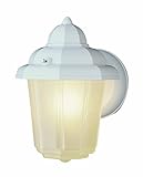 Trans Globe Lighting 4160 RT 8-1/2-Inch 1-Light Outdoor Small Wall Lantern, Rust [並行輸入品]